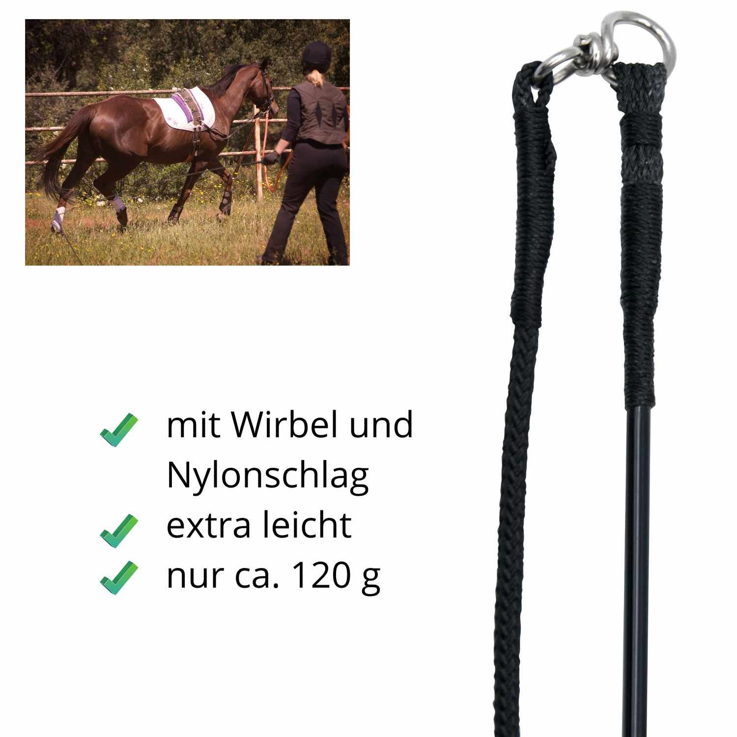 Schwarze Longierpeitsche mit Wirbel und Nylonschlag. Extra leicht, ca. 120 g. Nebenbild: Pferd mit Reiter auf Wiese.