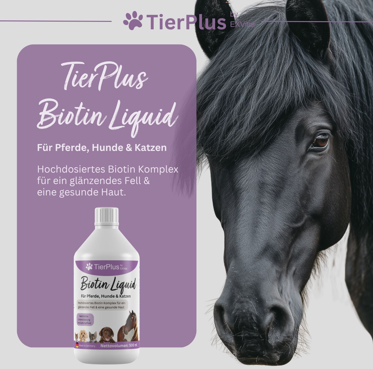 EXVital® TierPlus Biotin Liquid für Pferde, Hunde & Katzen