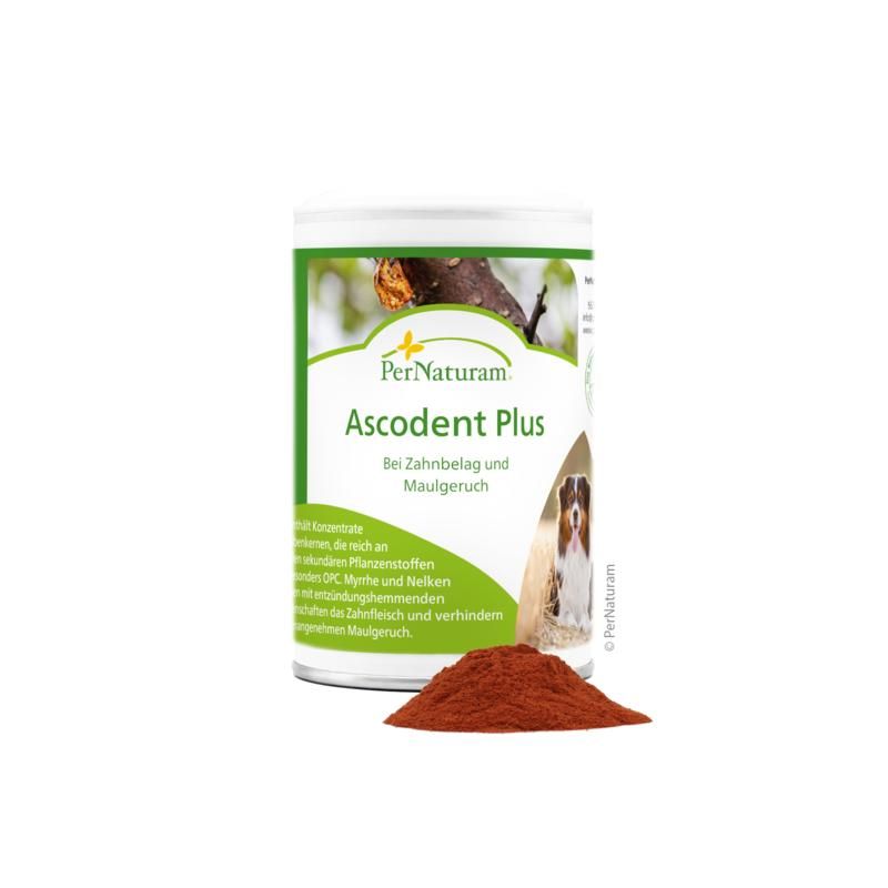 Eine Dose Ascodent Plus, mit Produktnamen und Text. Roter Pulverhaufen davor. Grün-weiße Verpackung mit Hund.