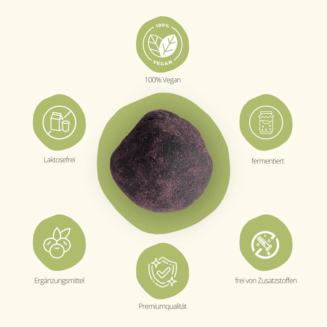 Runder, dunkler Klumpen auf grünem Untergrund, umgeben von grünen Kreisen mit Texten: vegan, laktosefrei, fermentiert, frei von Zusatzstoffen, Premiumqualität, Ergänzungsmittel.