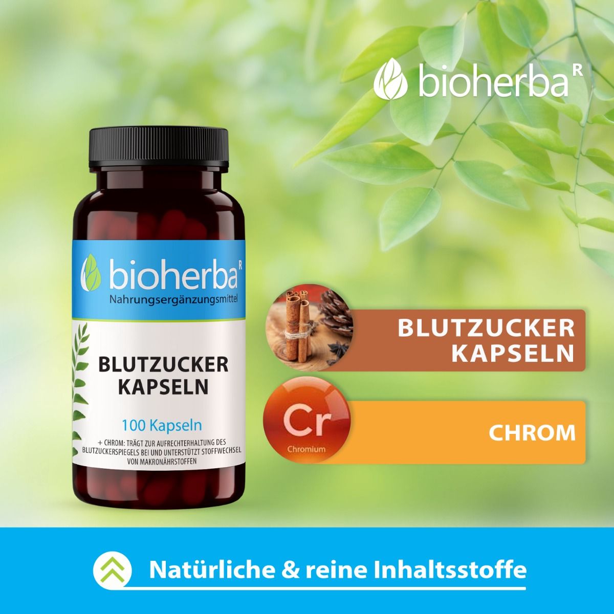 Braune Flasche mit schwarzen Deckel. Aufschrift: Bioherba, Blutzucker Kapseln, 100 Kapseln. Mit Illustrationen.