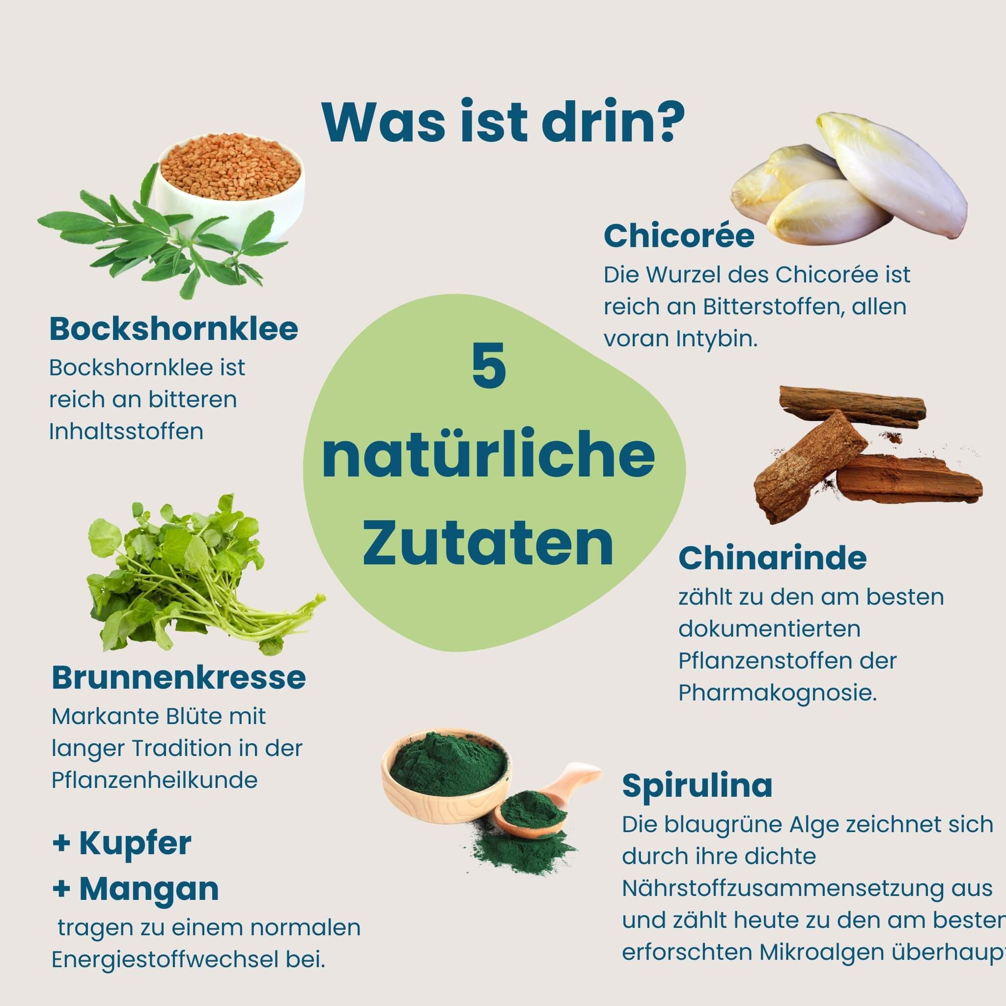 Fünf natürliche Zutaten für Kinder-Appetit-Saft: Bockshornklee, Brunnenkresse, Chicorée, Chinarrinde, Spirulina.