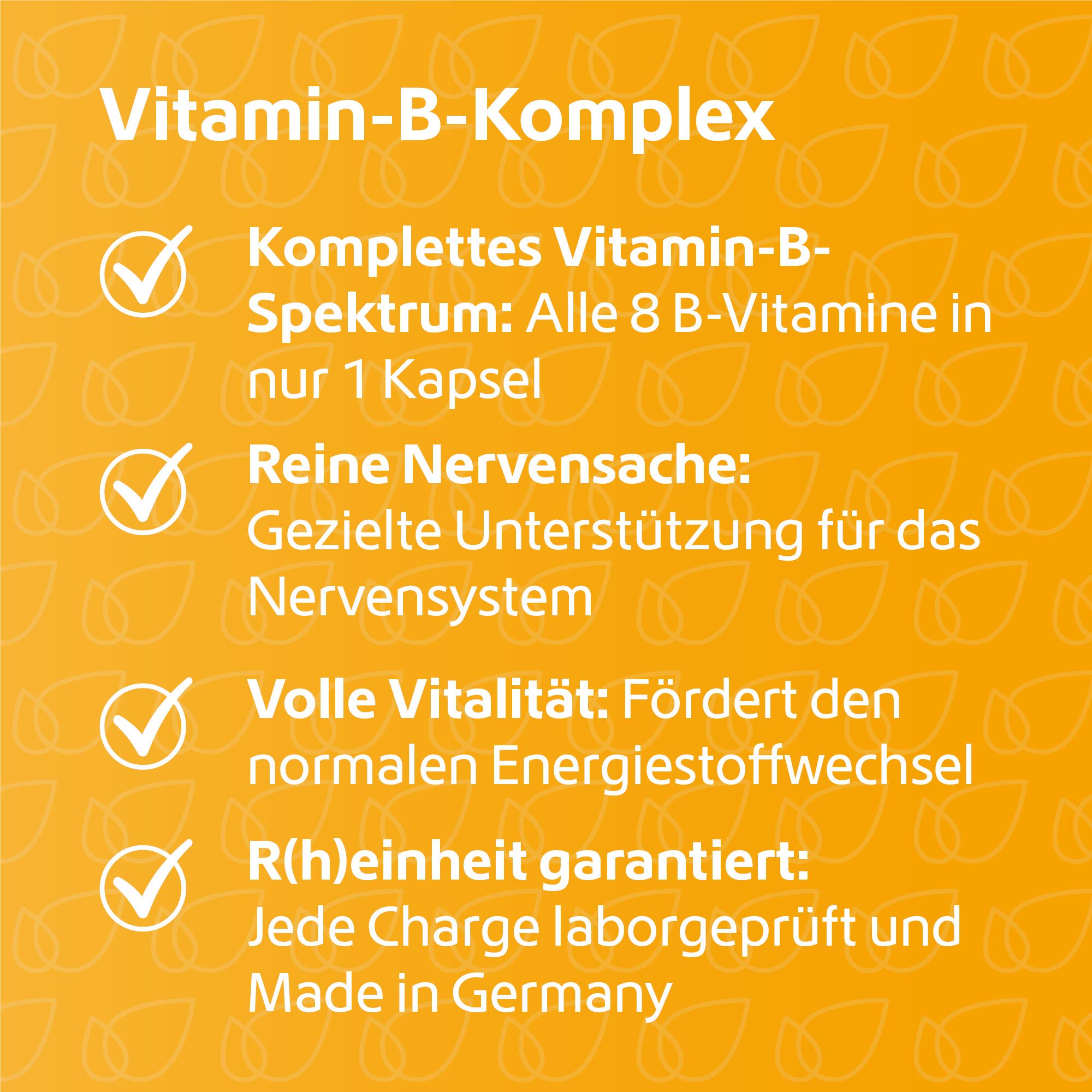 R(h)ein Nutrition Vitamin-B-Komplex