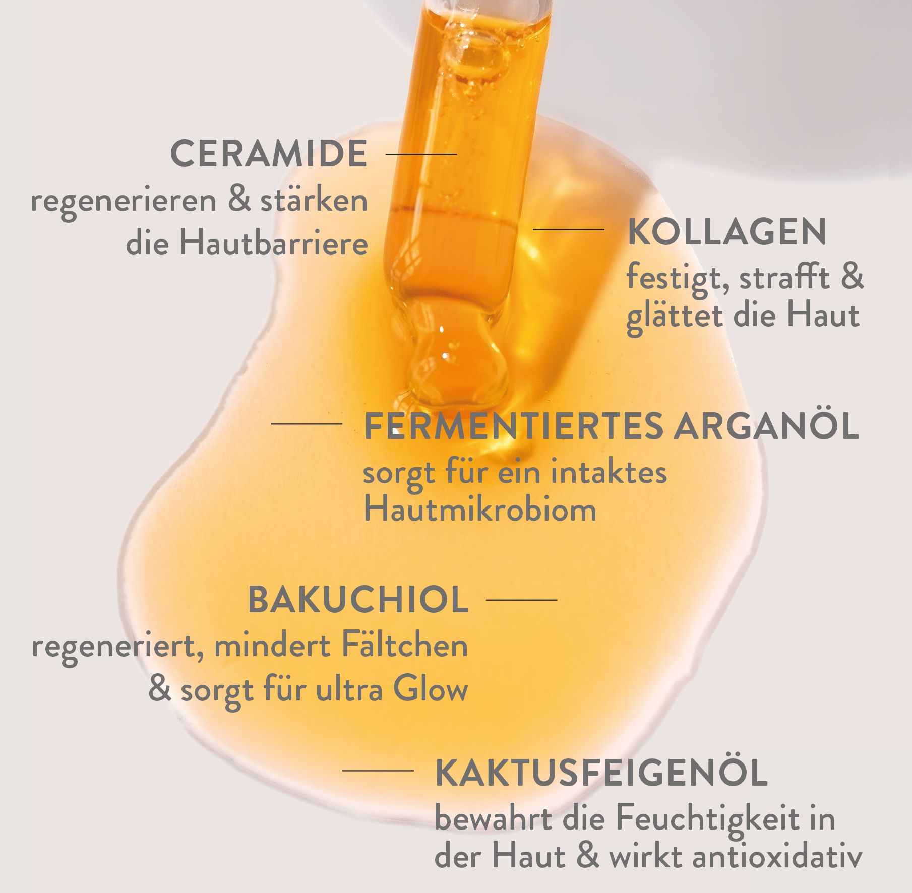 Nahaufnahme von Serumtropfen. Beschriftungen: Ceramide, Kollagen, fermentiertes Arganöl, Bakuchiol, Kaktusfeigenöl.