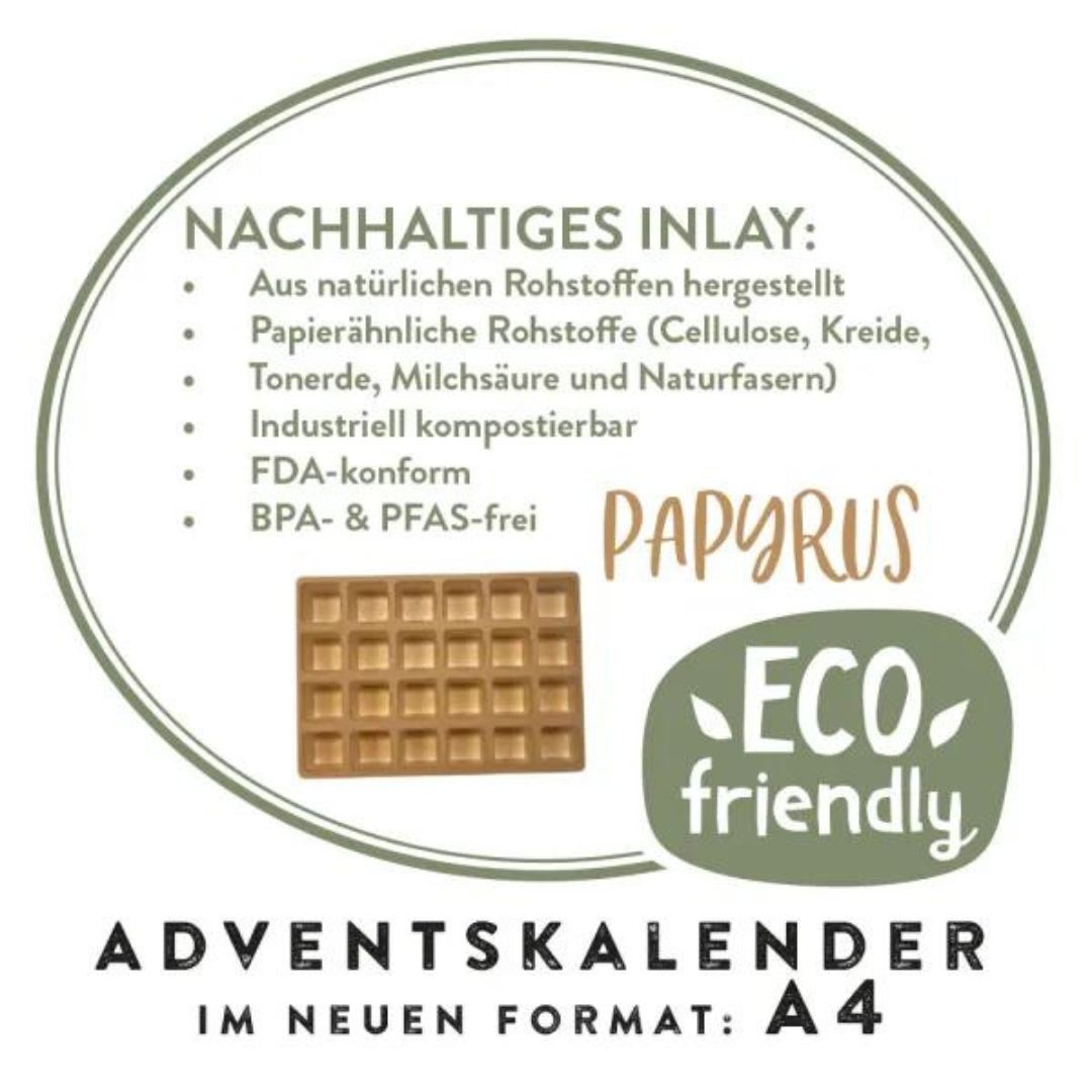 Adventskalender für Hunde "Hipster" - BUBECK