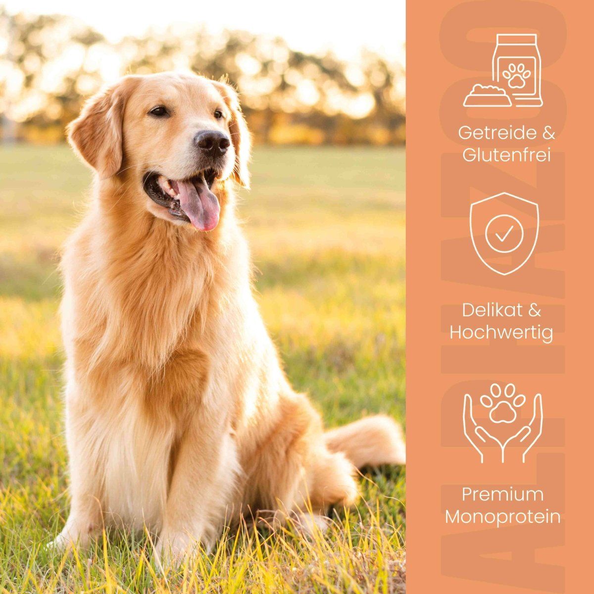 Goldener Retriever im Gras. Text: Getreide & Glutenfrei, Delikat & Hochwertig, Premium Monoprotein. Icons.