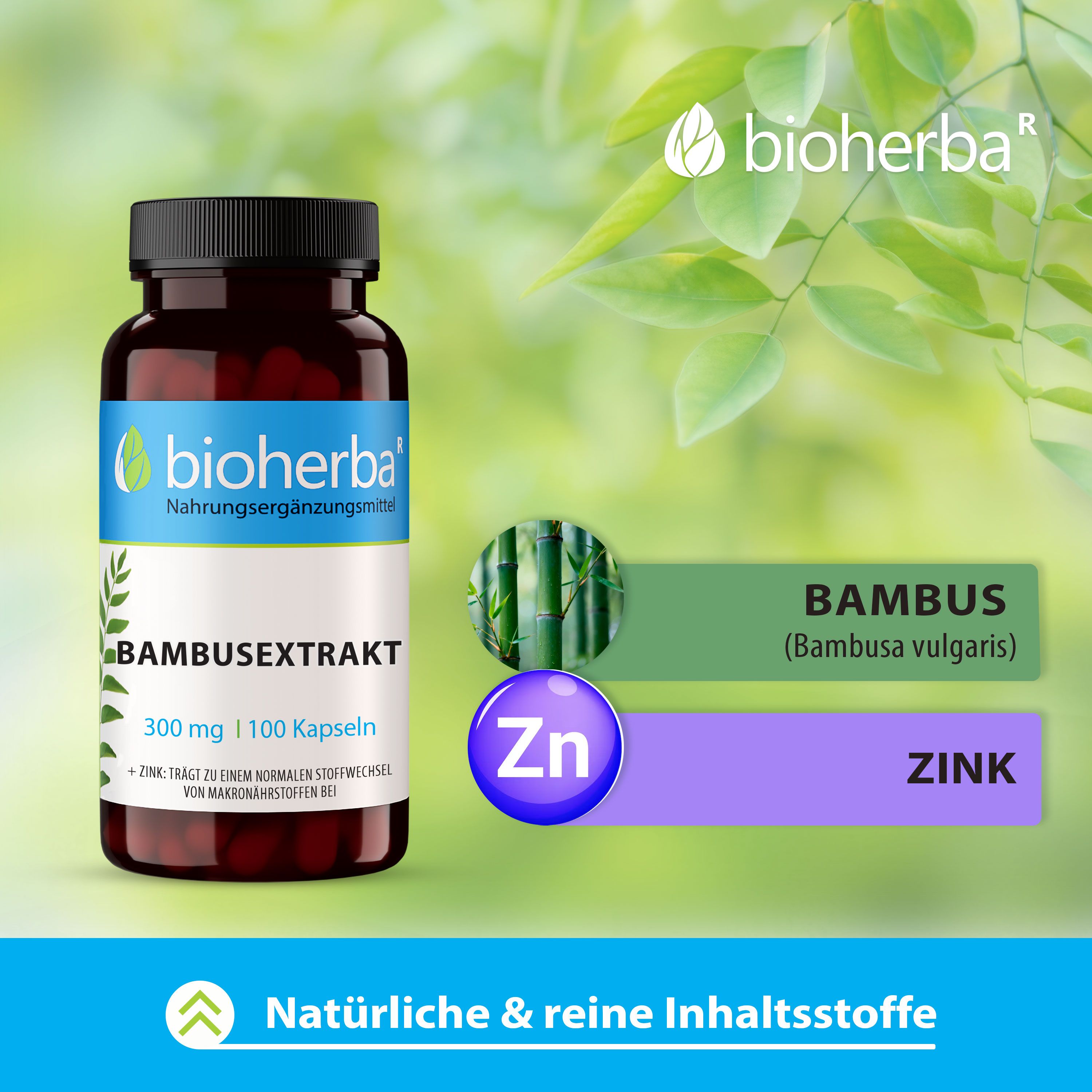 Flasche mit Kapseln. Etikett mit Produktname und Marke. Grafiken von Bambus und Zink. Hintergrund: Grün.