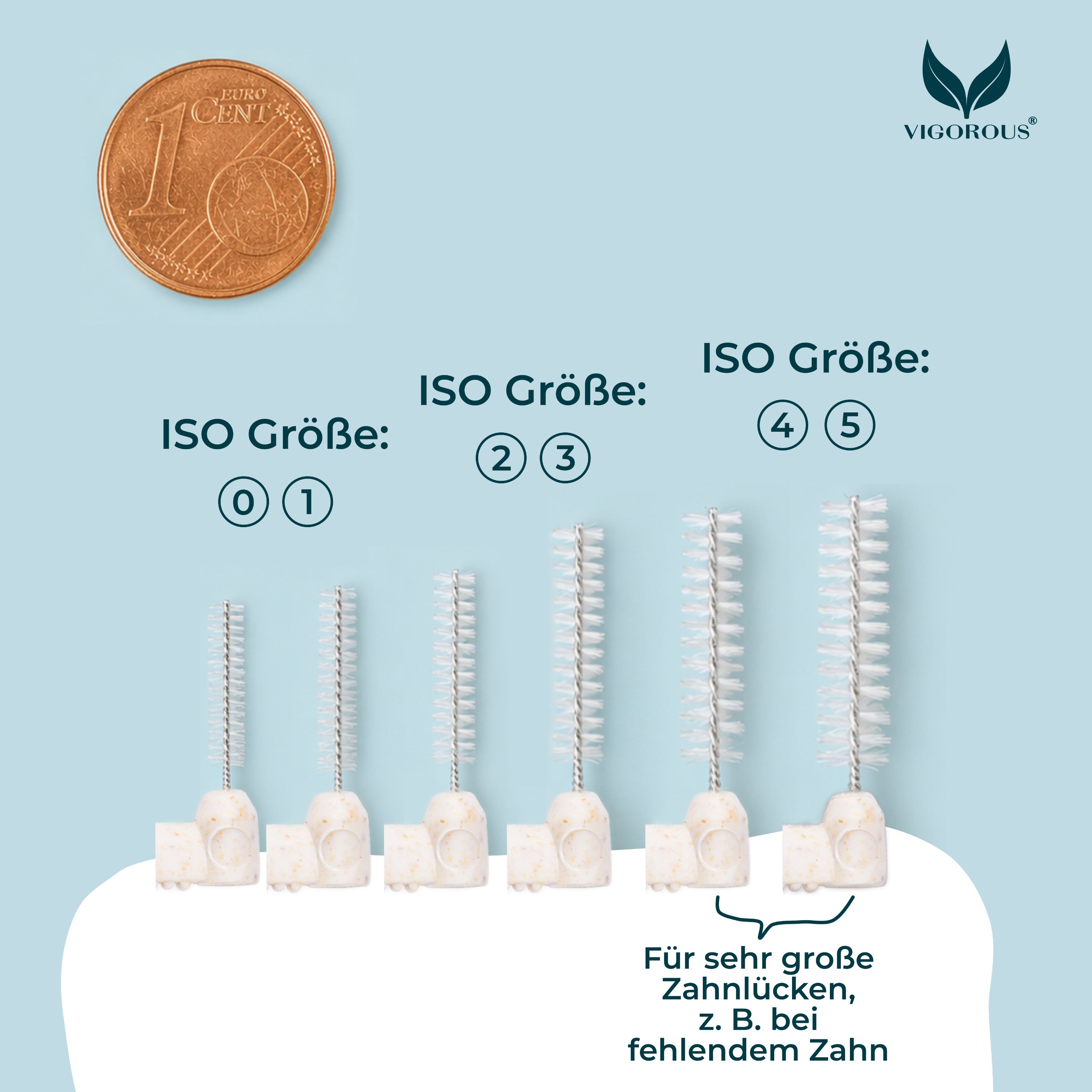Interdentalbürsten mit Größen 0-5. Größenvergleich mit 1-Cent-Münze. Text: Für sehr große Zahnlücken, z. B. bei fehlendem Zahn. Logo: VIGOROUS®.