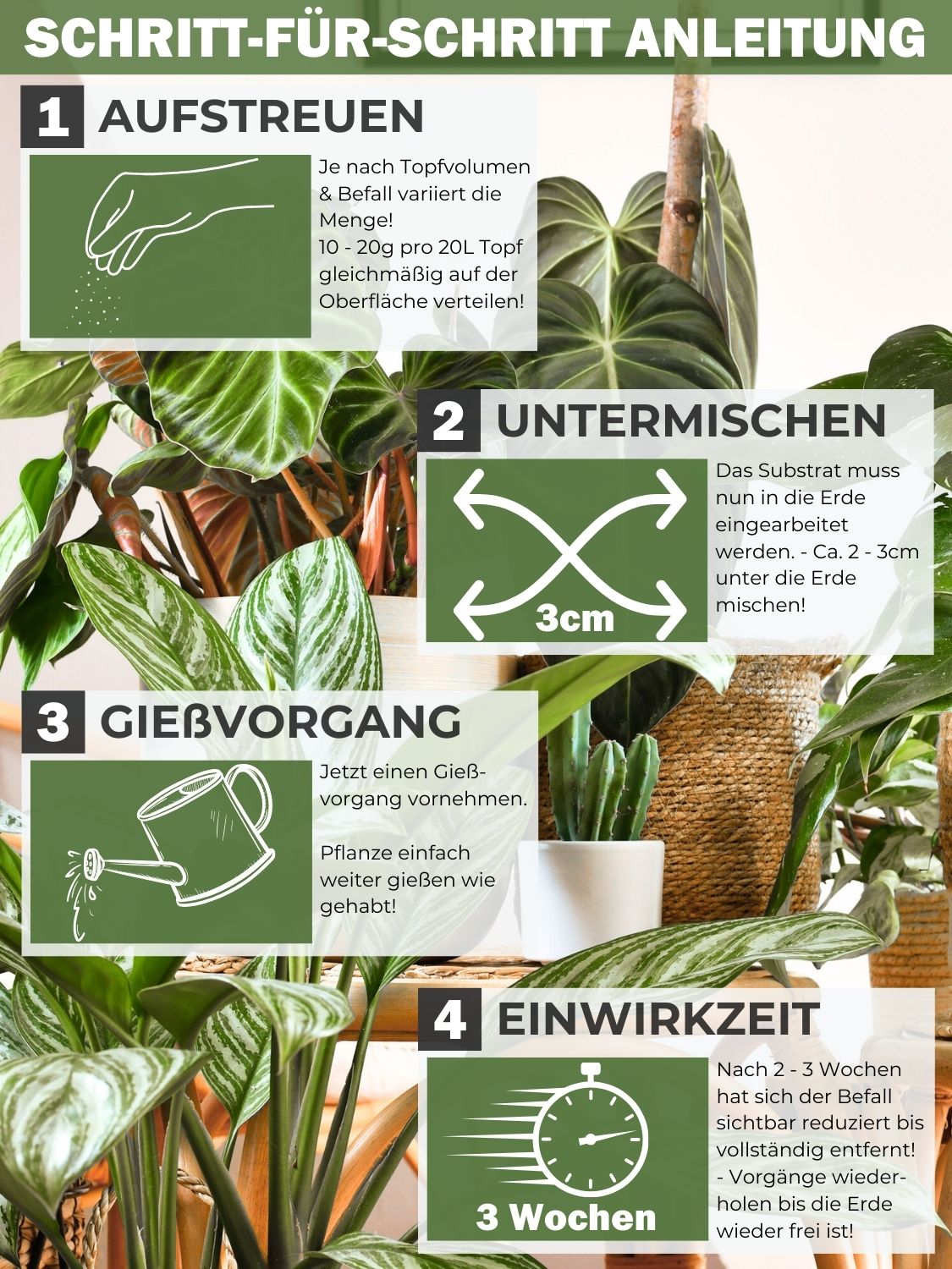 Anleitung zur Anwendung von GreenPanda Trauermücken-Frei. Schritte: Aufstreuen, untermischen, gießen, Einwirkzeit. Pflanzen im Hintergrund.