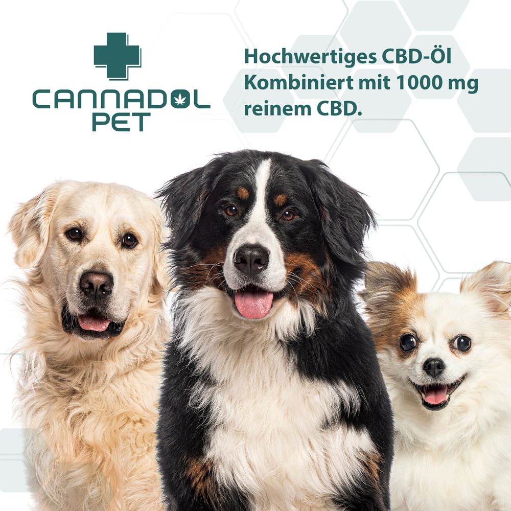 Drei Hunde vor weißem Hintergrund. Text: Cannadol Pet, Hochwertiges CBD-Öl, Kombiniert mit 1000 mg reinem CBD.
