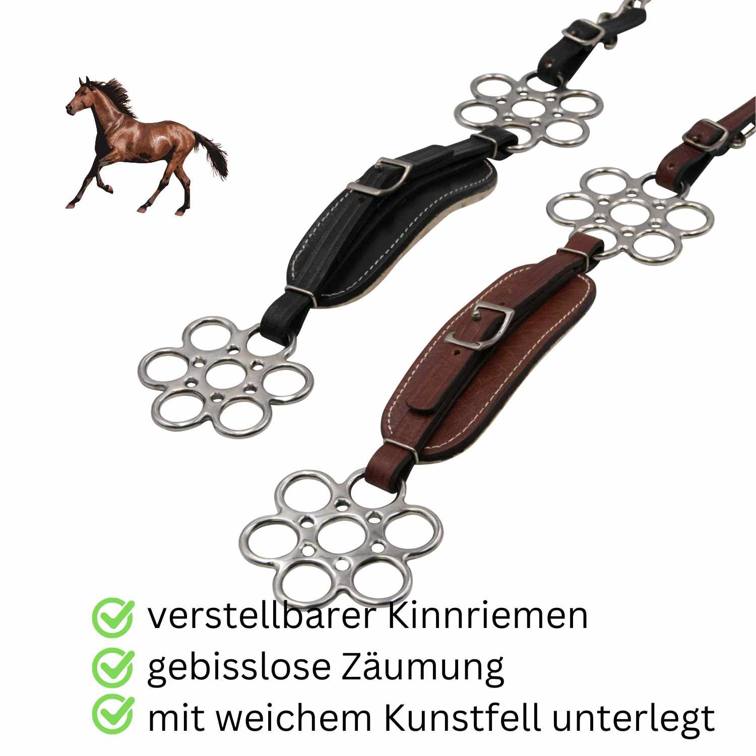 Zwei Hackamore Flora. Schwarzes und braunes Leder. Silberfarbene Metallteile. Text: verstellbarer Kinnriemen, gebisslose Zäumung.