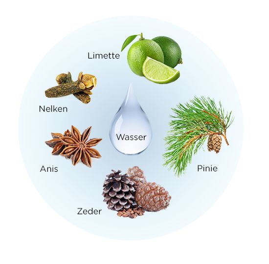Kreisförmige Darstellung von Zutaten: Nelken, Anis, Zeder, Limette, Pinie und Wassertropfen mit Aufschrift Wasser.