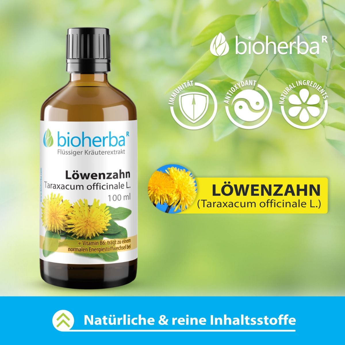 Braune Flasche mit Etikett und Logo. Gelbe Löwenzahnblüten. Symbole für Immunität, Antioxidantien und natürliche Inhaltsstoffe.