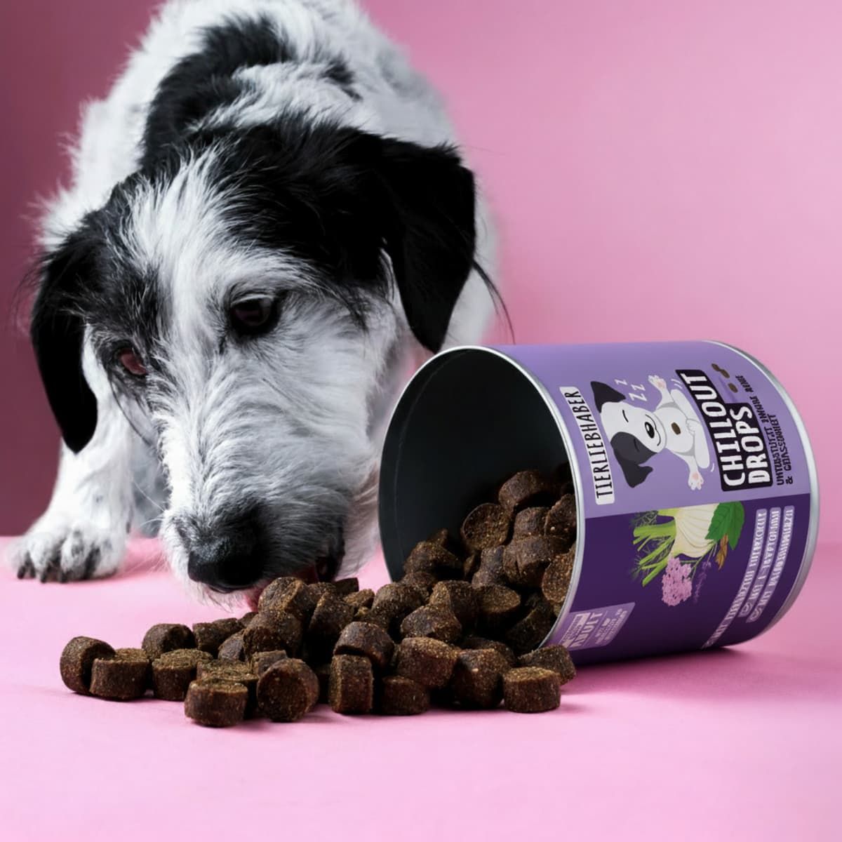 Ein Hund schnüffelt an umgekippten Hundekeksen, die aus einer Dose gefallen sind.