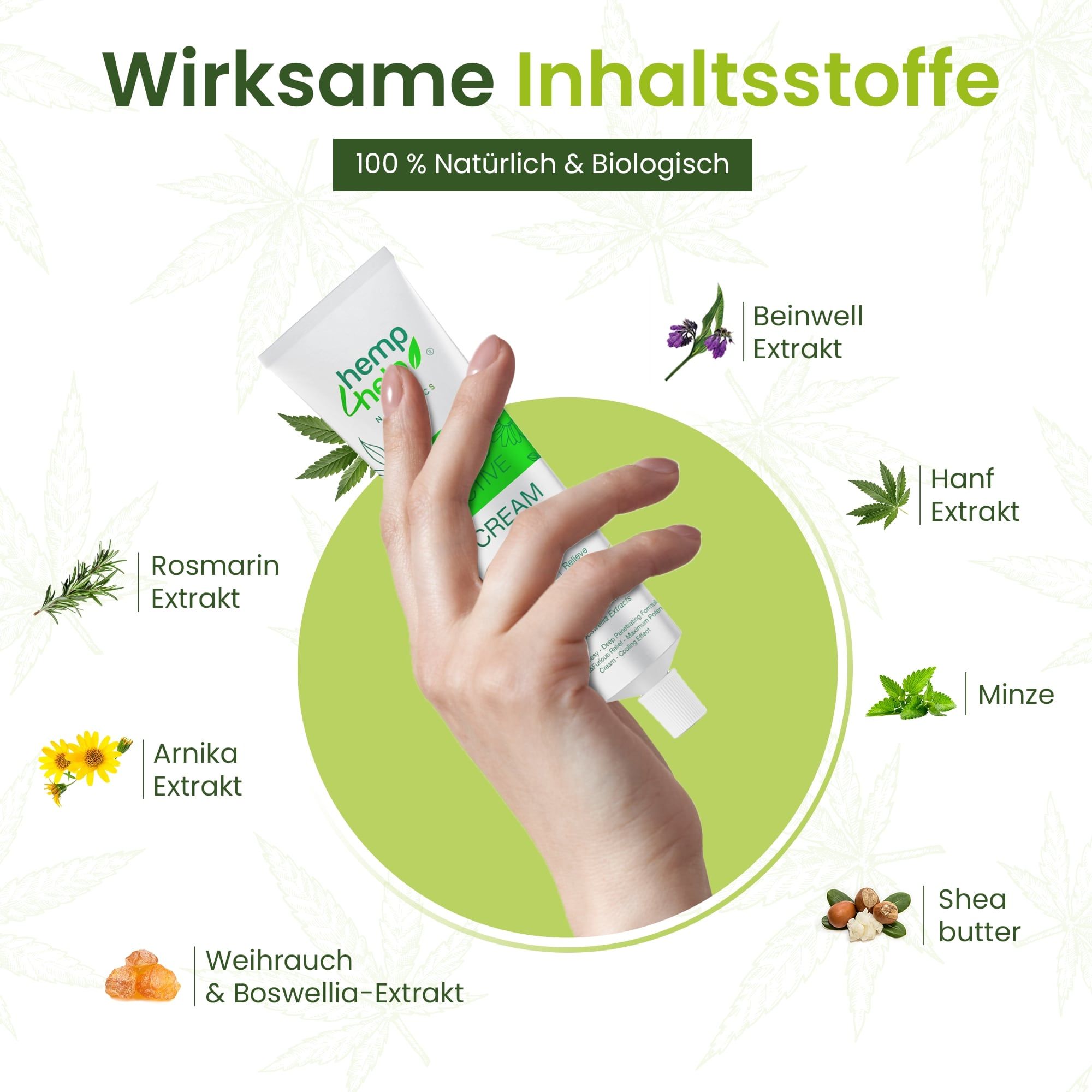 Hand hält Creme-Tube. Text: Wirkstoffe. Rosmarin, Arnika, Weihrauch, Beinwell, Hanf, Minze, Shea Butter.
