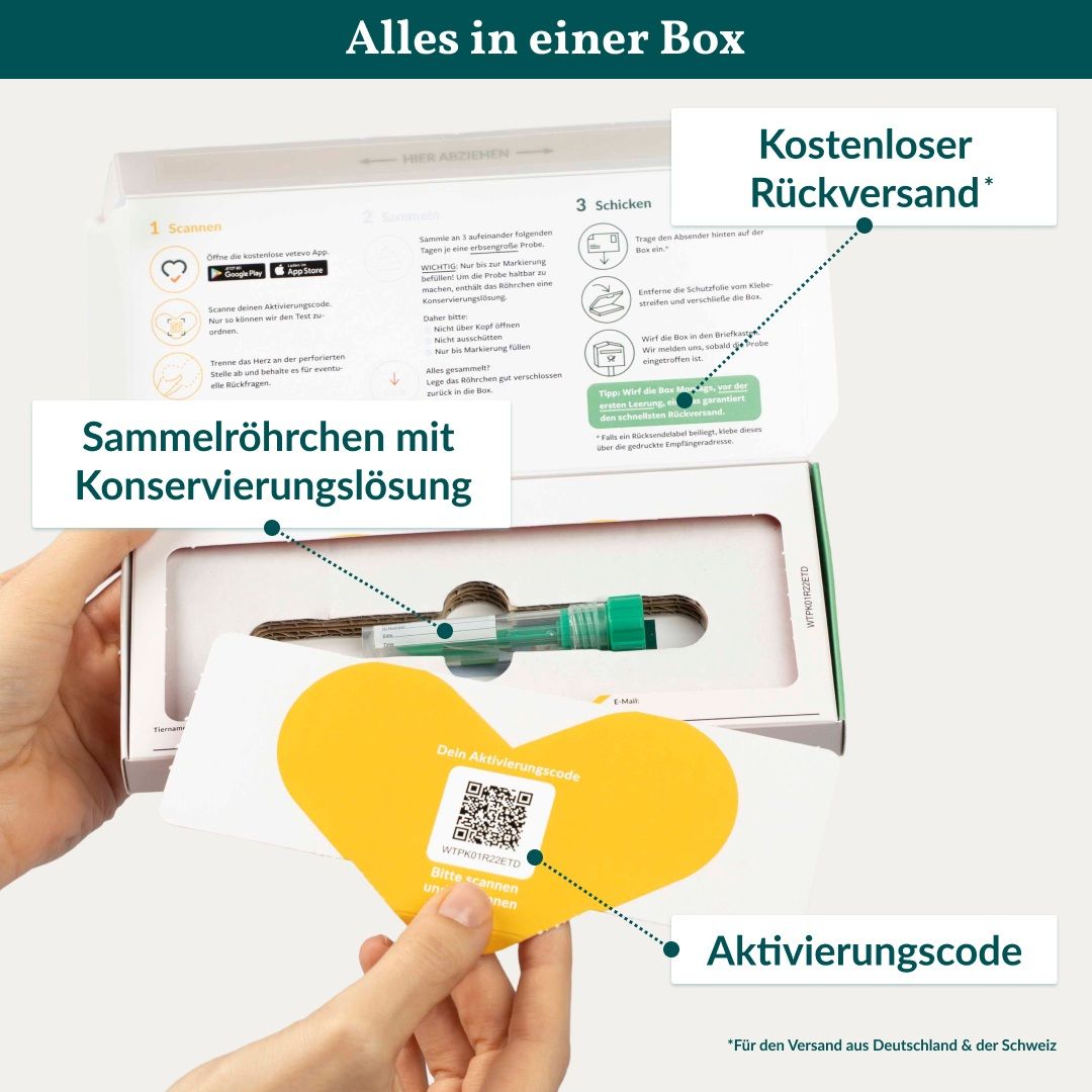 Inhalt der Wurmtest-Box: Probenröhrchen mit Lösung, Aktivierungscode, Anleitung.