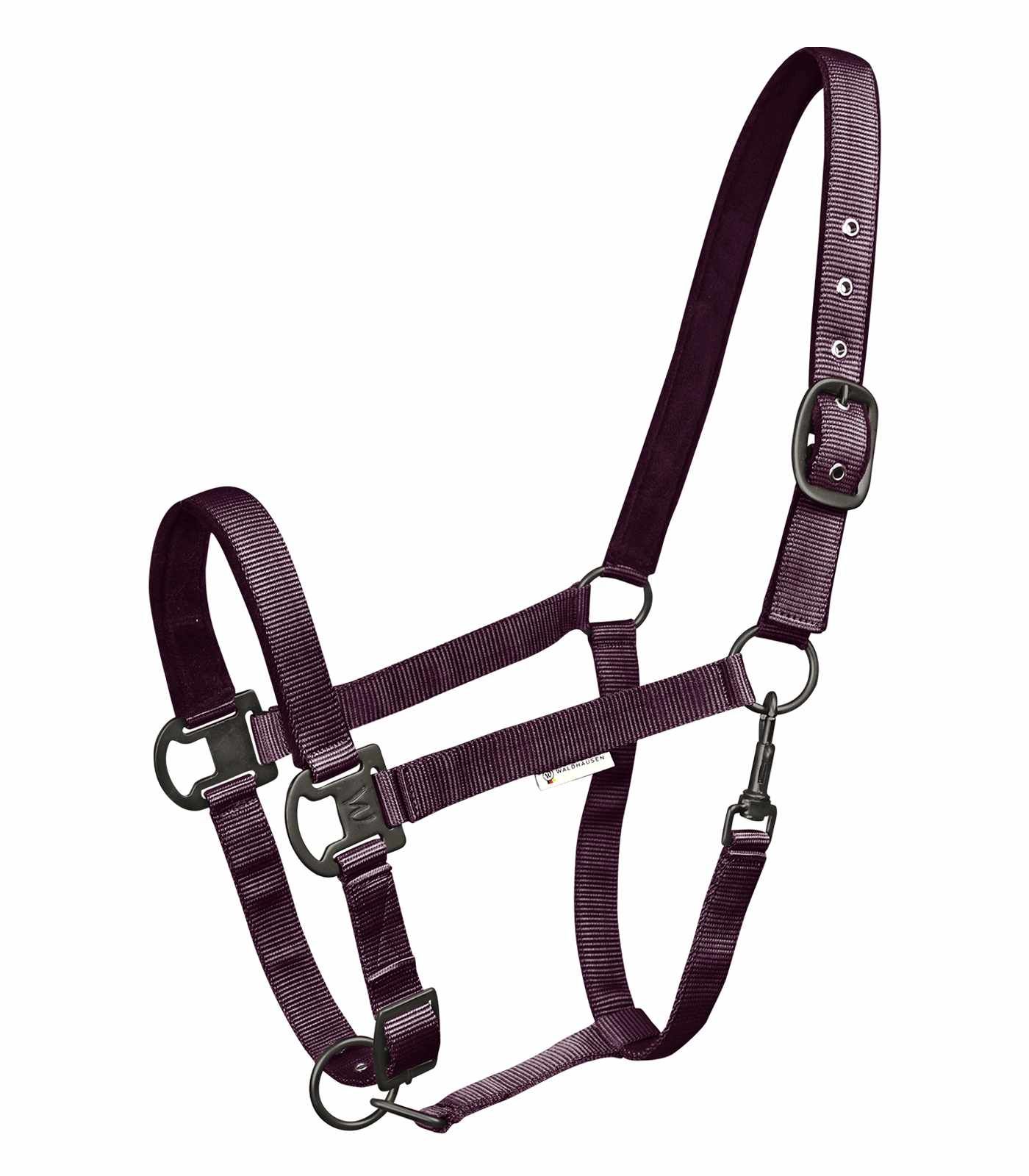 Dunkelviolettes Nylonhalfter mit Metallringen und Schnallen. Marke nicht sichtbar.