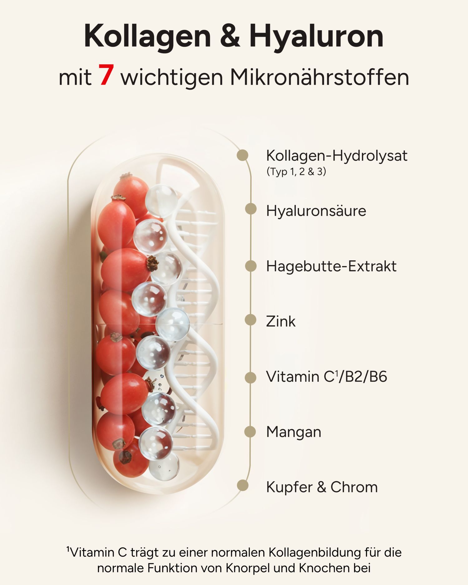 Kapsel-Darstellung mit Inhaltsstoffen: Kollagen-Hydrolysat, Hyaluronsäure, Hagebutte, Zink, Vitamin C/B2/B6, Mangan, Kupfer & Chrom. Für Gelenke.