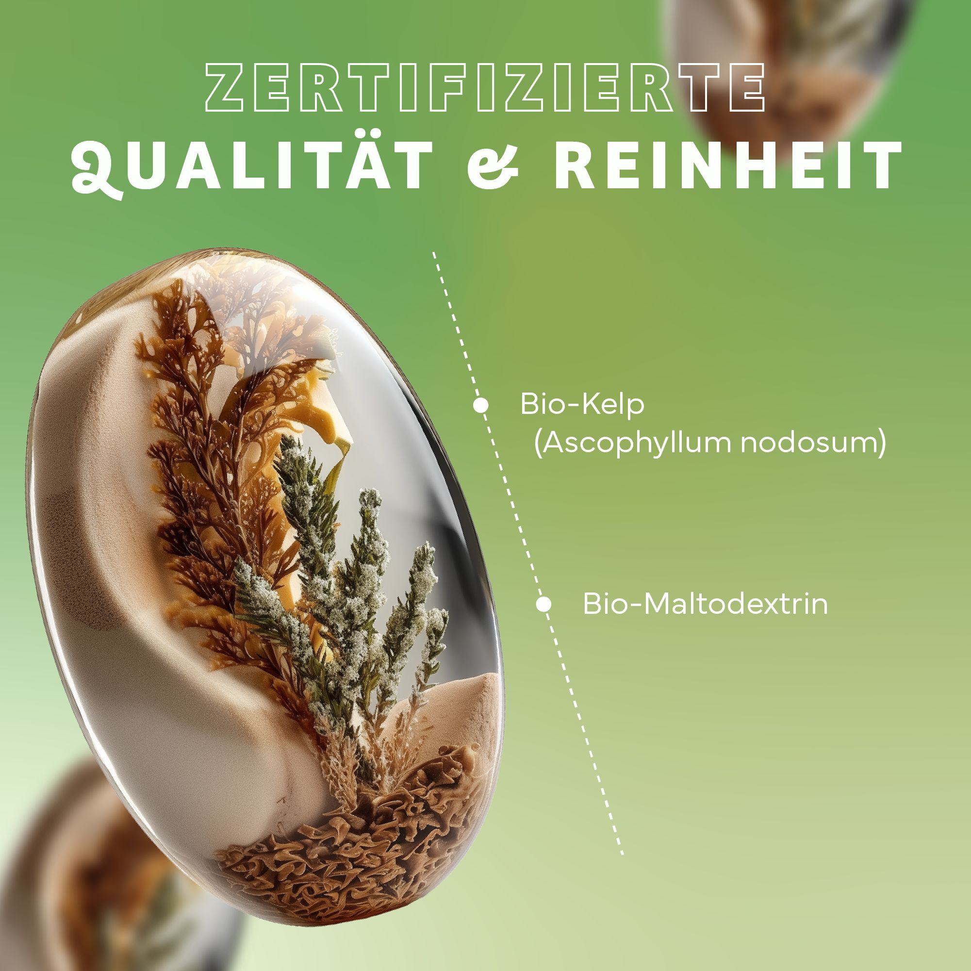 Nahaufnahme von transparenten Kapseln mit Bio-Kelp und Bio-Maltodextrin. Text: Zertifizierte Qualität & Reinheit.
