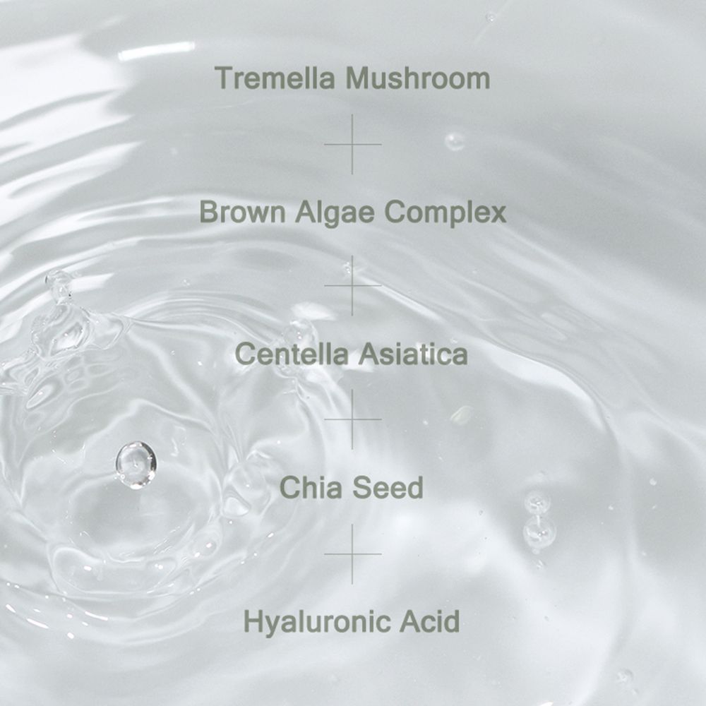 MIZON Phyto Plump Collagen Hydrating Face Toner