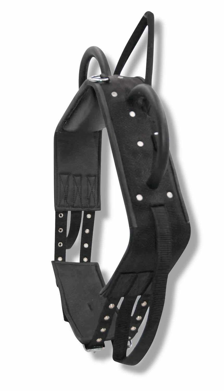 Schwarzer Longiergurt mit Griffen und Ringen. Seitliche Ansicht. Sichtbare Details der Gurte und Befestigungen.