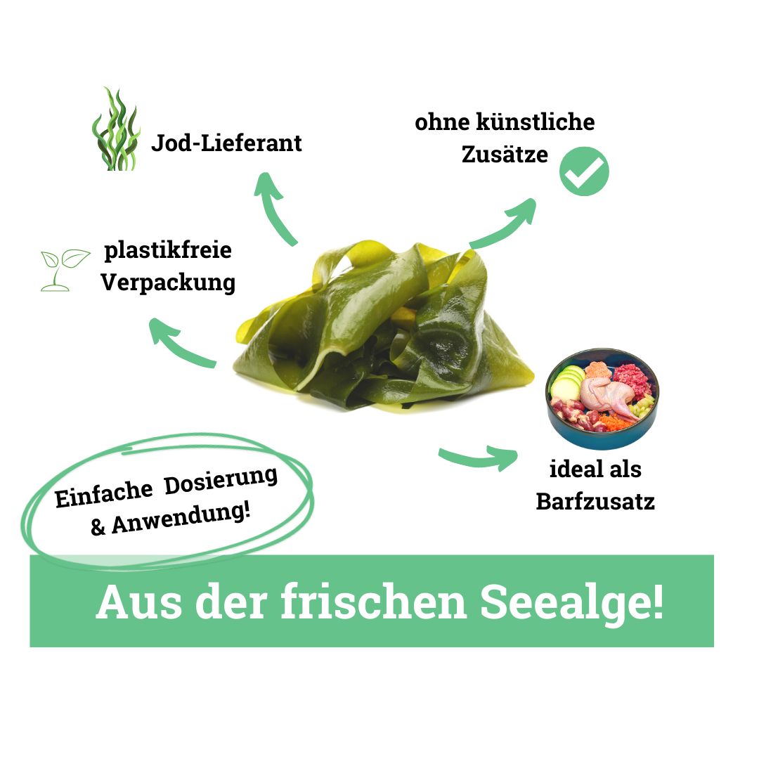 BeG Buddy Seealgenmehl zur idealen Jodversorgung