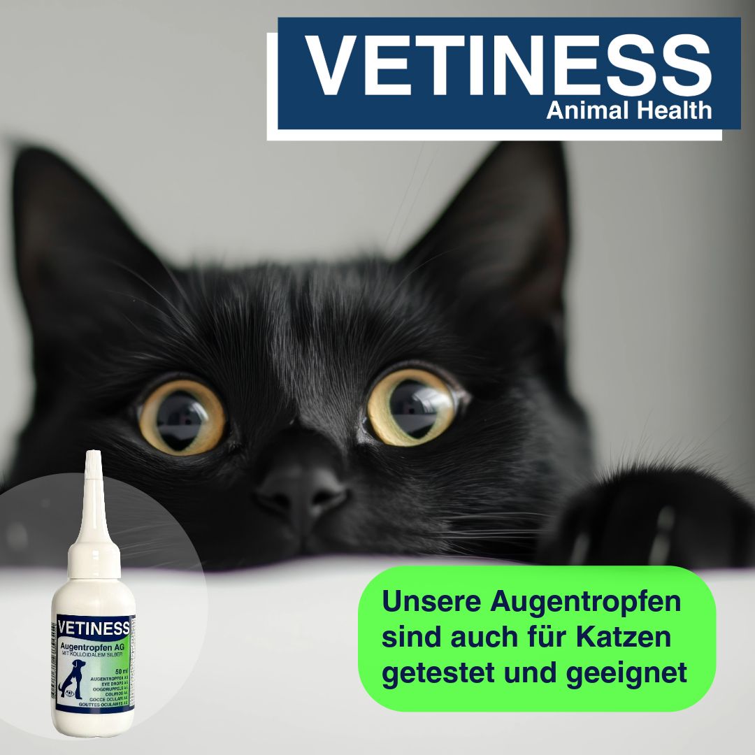 Weißes Fläschchen mit Tropfspitze. Schwarze Katze schaut über eine Kante. Text auf grünem Hintergrund.