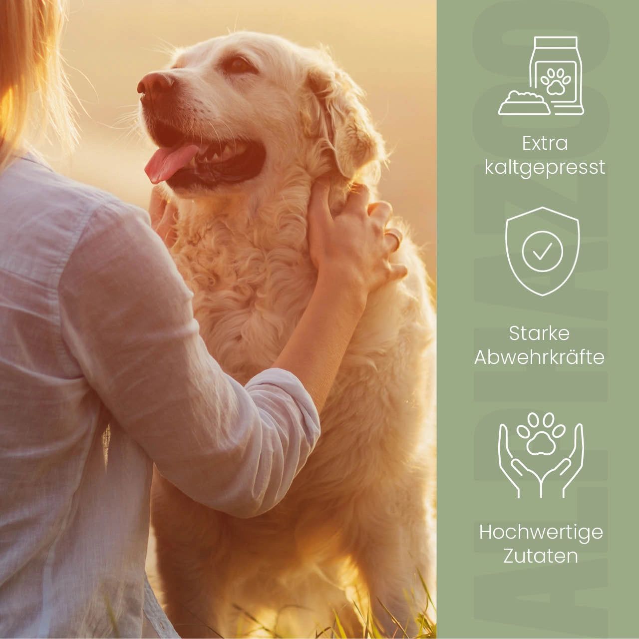 Frau umarmt Golden Retriever. Icons: Extra kaltgepresst, Starke Abwehrkräfte, Hochwertige Zutaten. Hintergrund: Sonnenuntergang.
