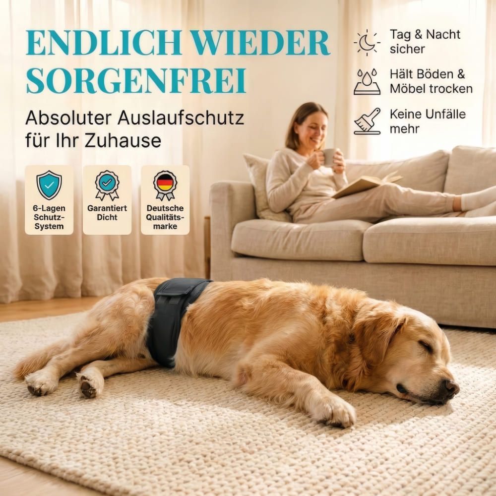 Hund mit schwarzer Windel liegt auf Teppich. Frau sitzt auf Sofa. Text: Absoluter Auslaufschutz.