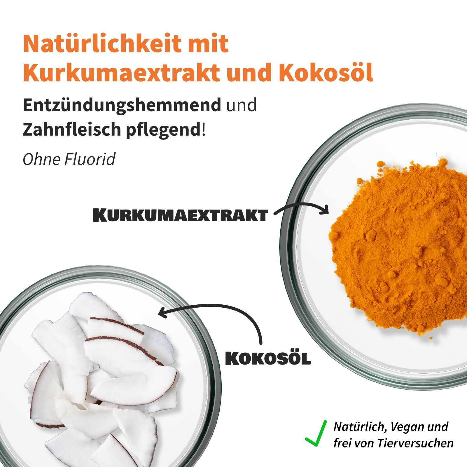 Nahaufnahme von Kurkumaextrakt und Kokosöl in Schalen. Text: Entzündungshemmend und Zahnfleisch pflegend. Vegan-Siegel.