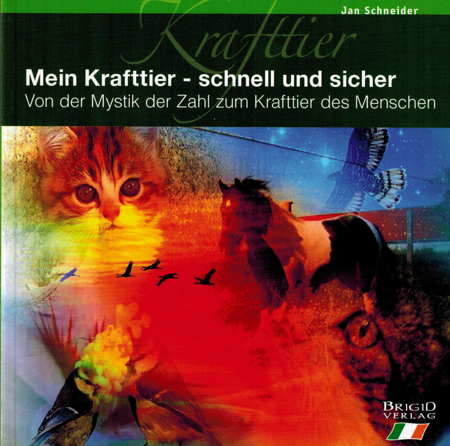 Buchcover mit Titel "Mein Krafttier - schnell und sicher". Illustrationen von Katze, Pferd, Vogel. Verlag: Brigio Verlag.