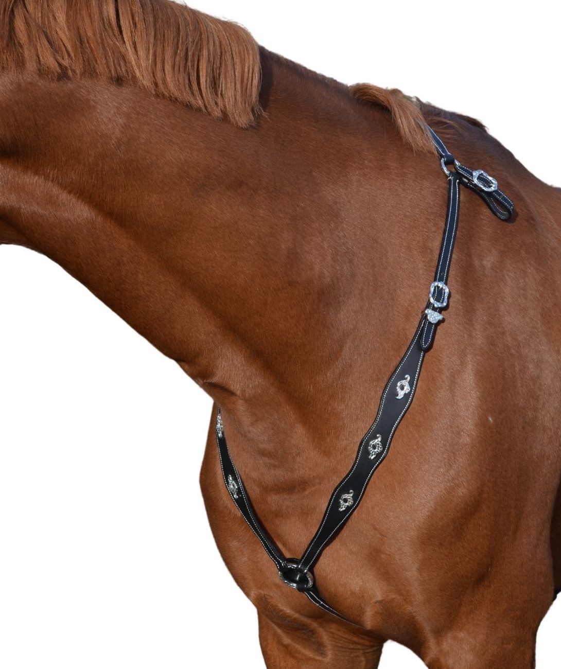 Braunes Pferd mit schwarzem Vorderzeug. Silberne Schnallen und Verzierungen. Weißes Naht.