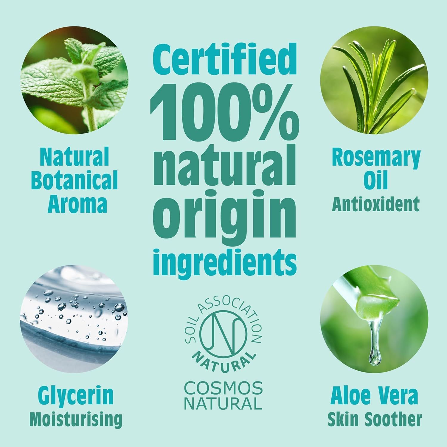 Infografik mit Inhaltsstoffen: Minze, Rosmarinöl, Glycerin und Aloe Vera. Logos und Text über natürliche Inhaltsstoffe.