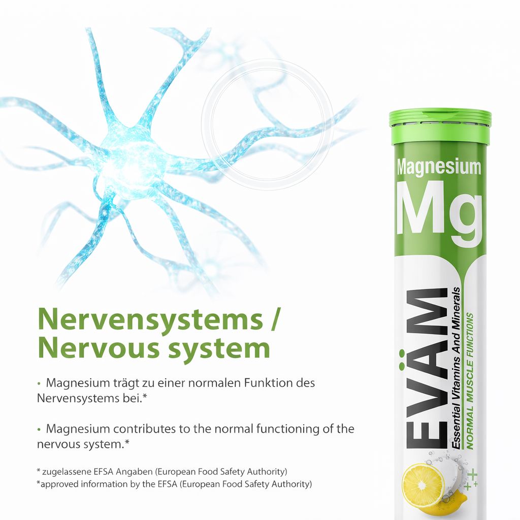 Nervensystem-Illustration. Text: Magnesium trägt zu einer normalen Funktion des Nervensystems bei. Magnesium Brausetabletten-Tube.
