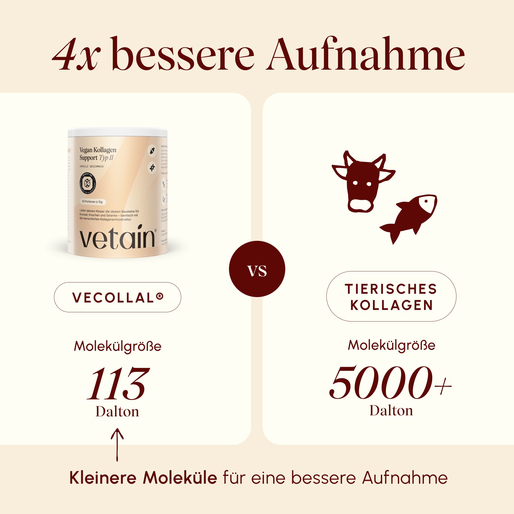 VETAIN Kollagenpulver Vegan - VeCollal®, Vitamin C, Kurkuma, Zink & Biotin - Für Knochen & Gelenke