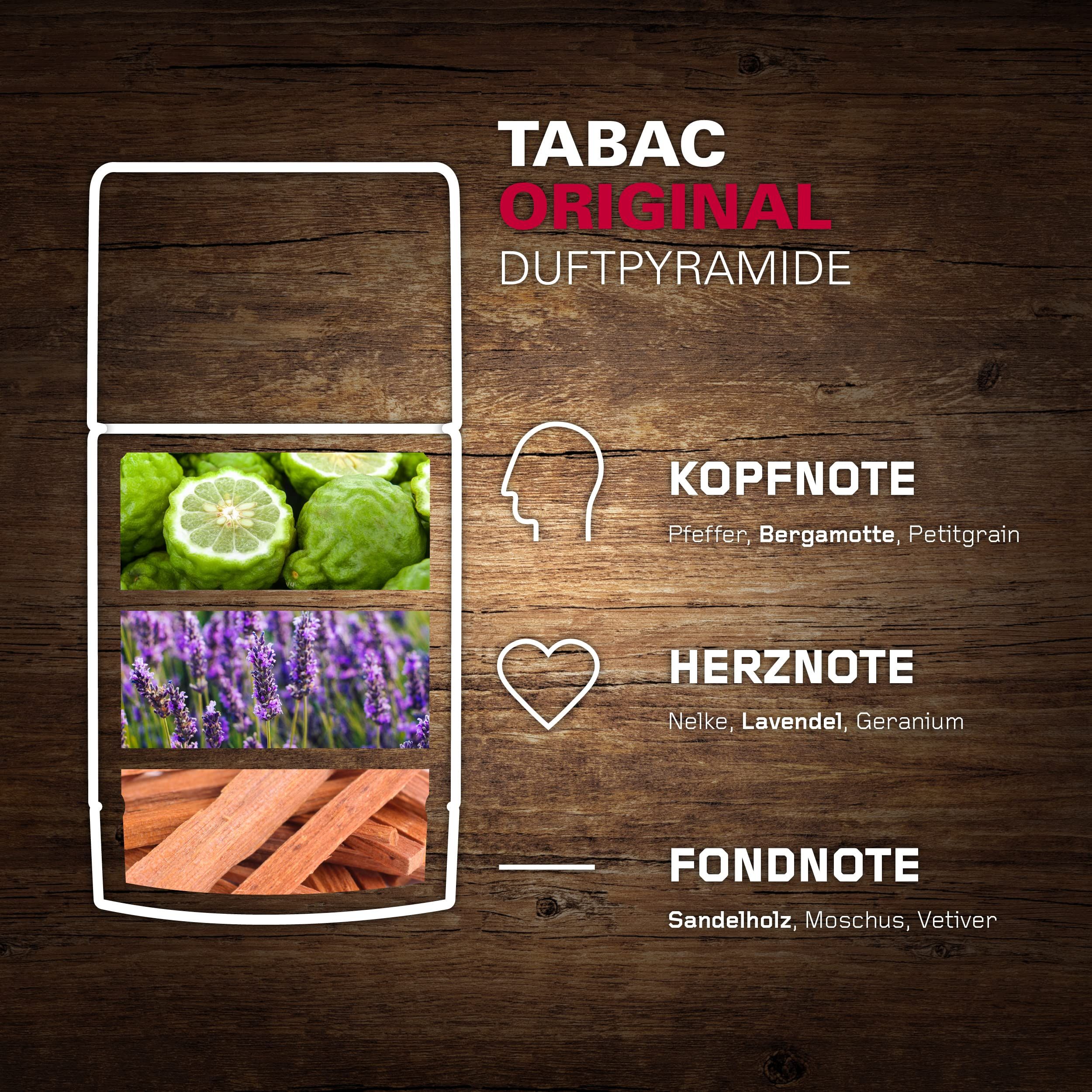 Duftpyramide. Grafik mit Kopf-, Herz- und Fondnote. Text: Tabac Original, Pfeffer, Bergamotte, Nelke, Lavendel, Sandelholz.