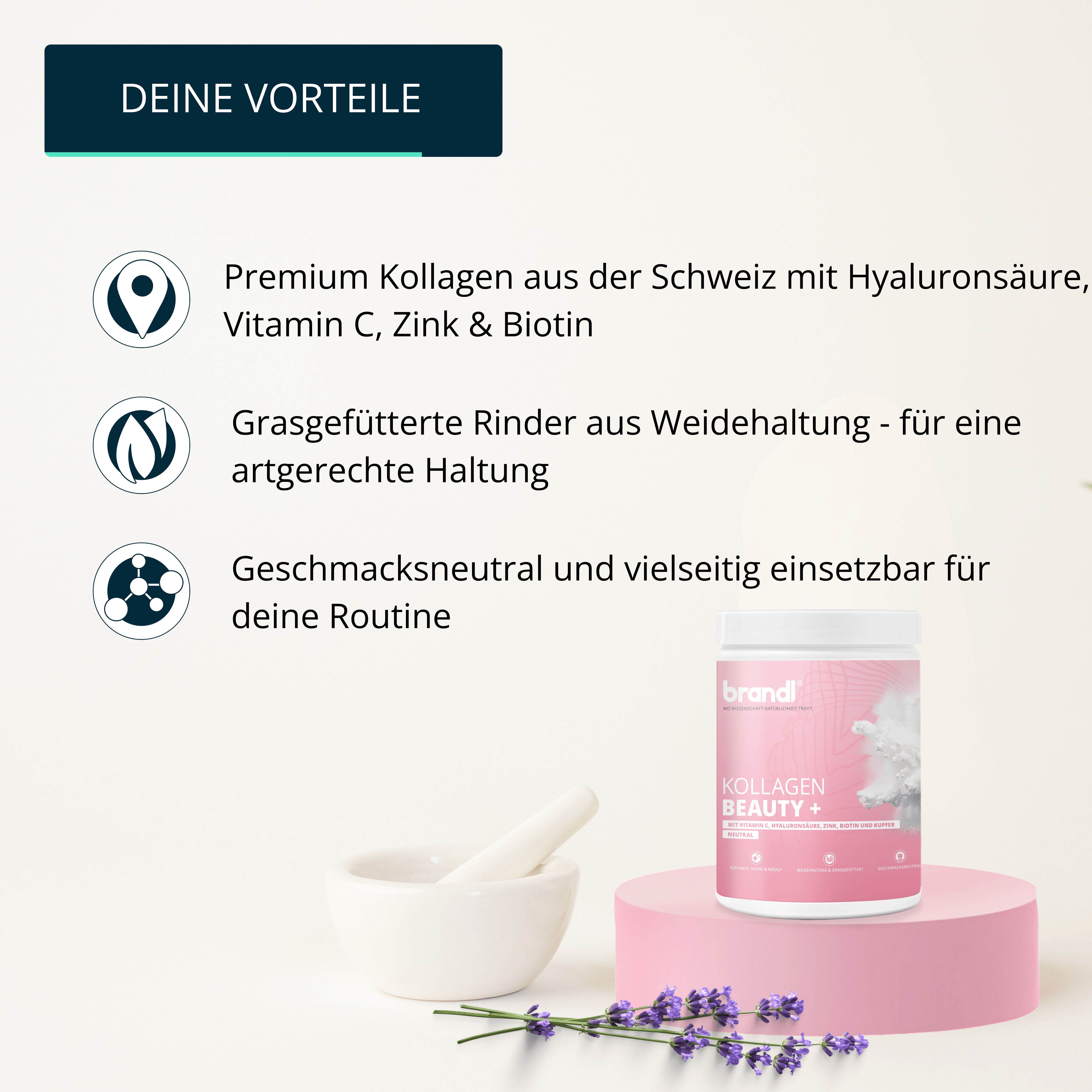 Weißer Behälter mit rosa Etikett. Text: brandl, Kollagen Beauty+. Auf rosa Podest. Daneben Mörser, Lavendelzweig.