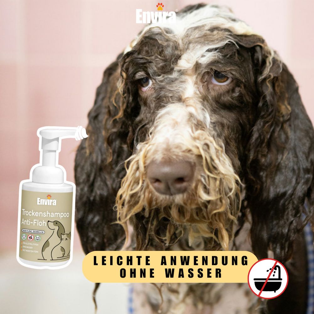 Hund mit Shampoo-Schaum. Flasche mit Pumpkopf daneben. Gelber Textblock: Leichte Anwendung ohne Wasser. ENVIRA Logo.