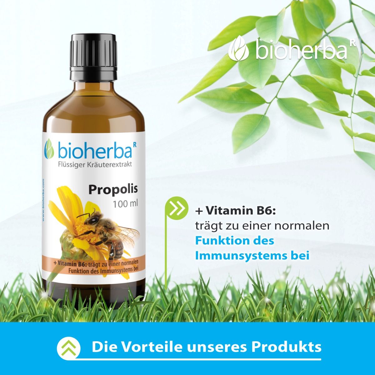 Braune Glasflasche mit schwarzem Deckel. Aufschrift: Bioherba Propolis, 100 ml. Mit gelber Blüte und Biene.