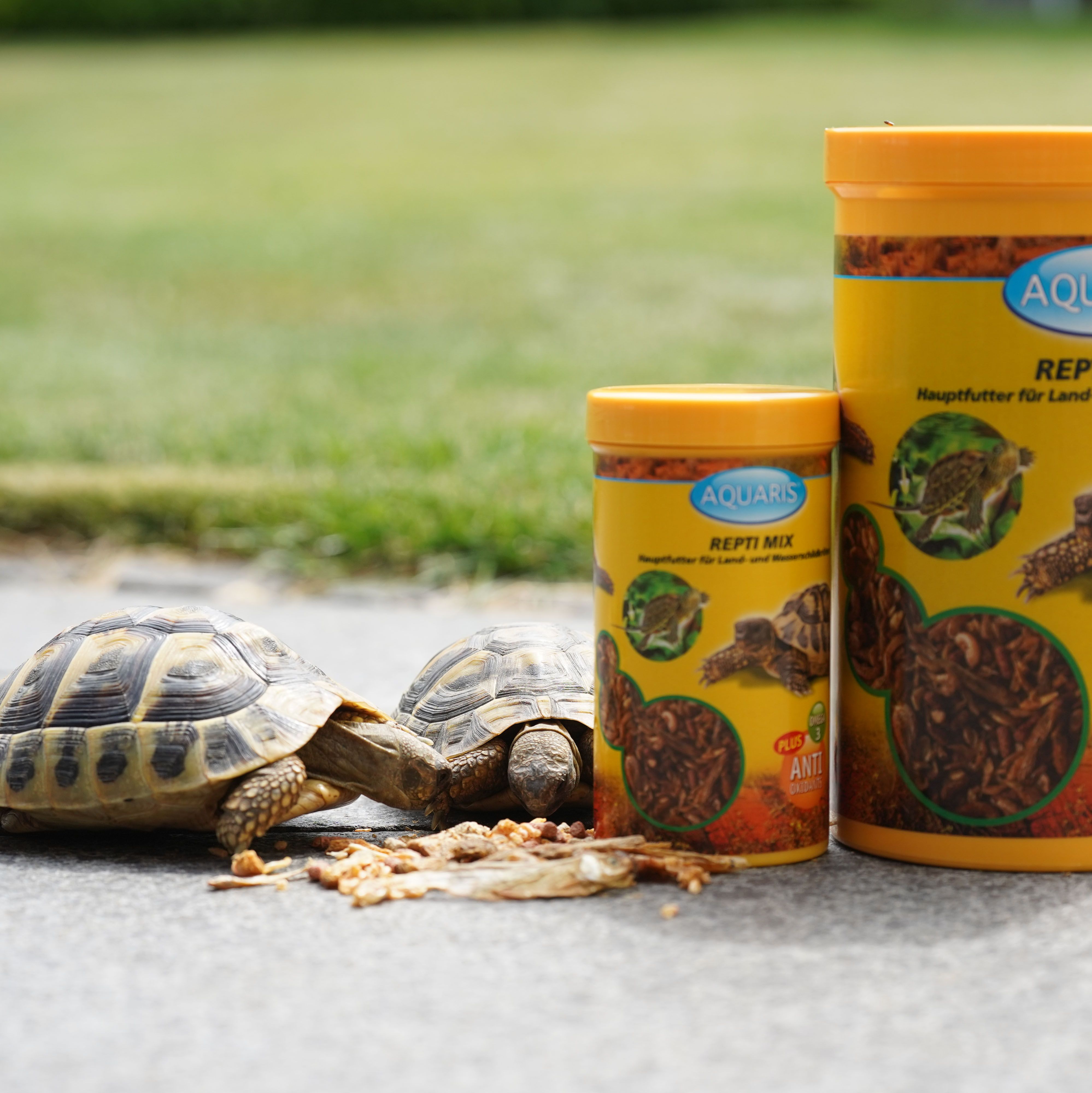Zwei Schildkröten fressen Futter neben zwei gelben Behältern mit AQUARIS Repti Mix.