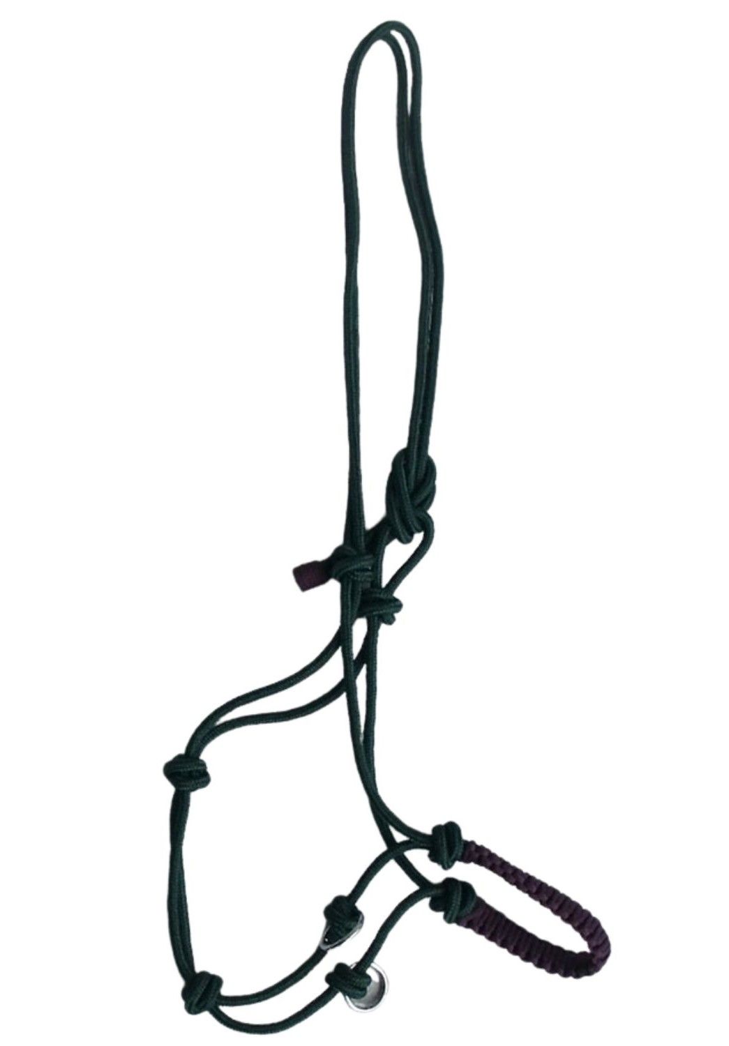 Dunkelgrüner AMKA Knotenhalfter. Aus Seil geknotet, mit Metallringen und einem dunkelvioletten Teil.
