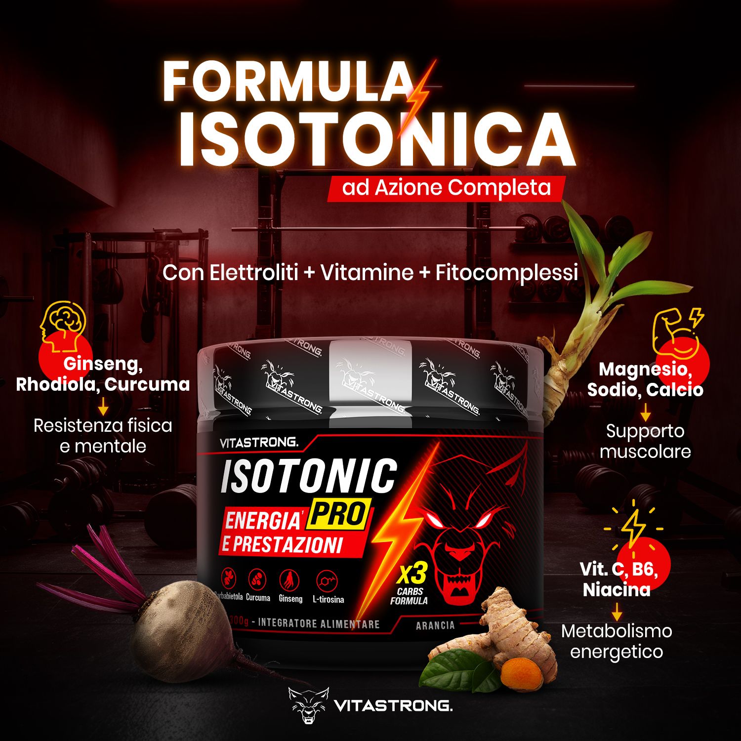 Dose Vitastrong Isotonico PRO. Text: Formel Isotonisch, mit Elektrolyten, Vitaminen, Phytocomplexen. Mit Ginseng, Magnesium, Vitamine.