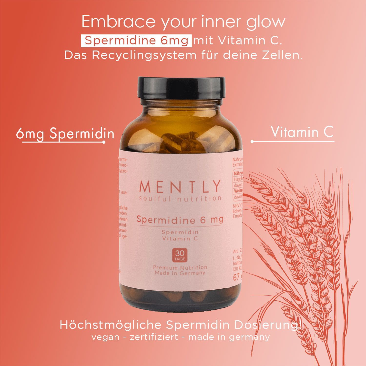 Braune Glasflasche mit Kapseln. Aufkleber mit "MENTLY Spermidine 6mg". Text: Vitamin C, vegan, zertifiziert.