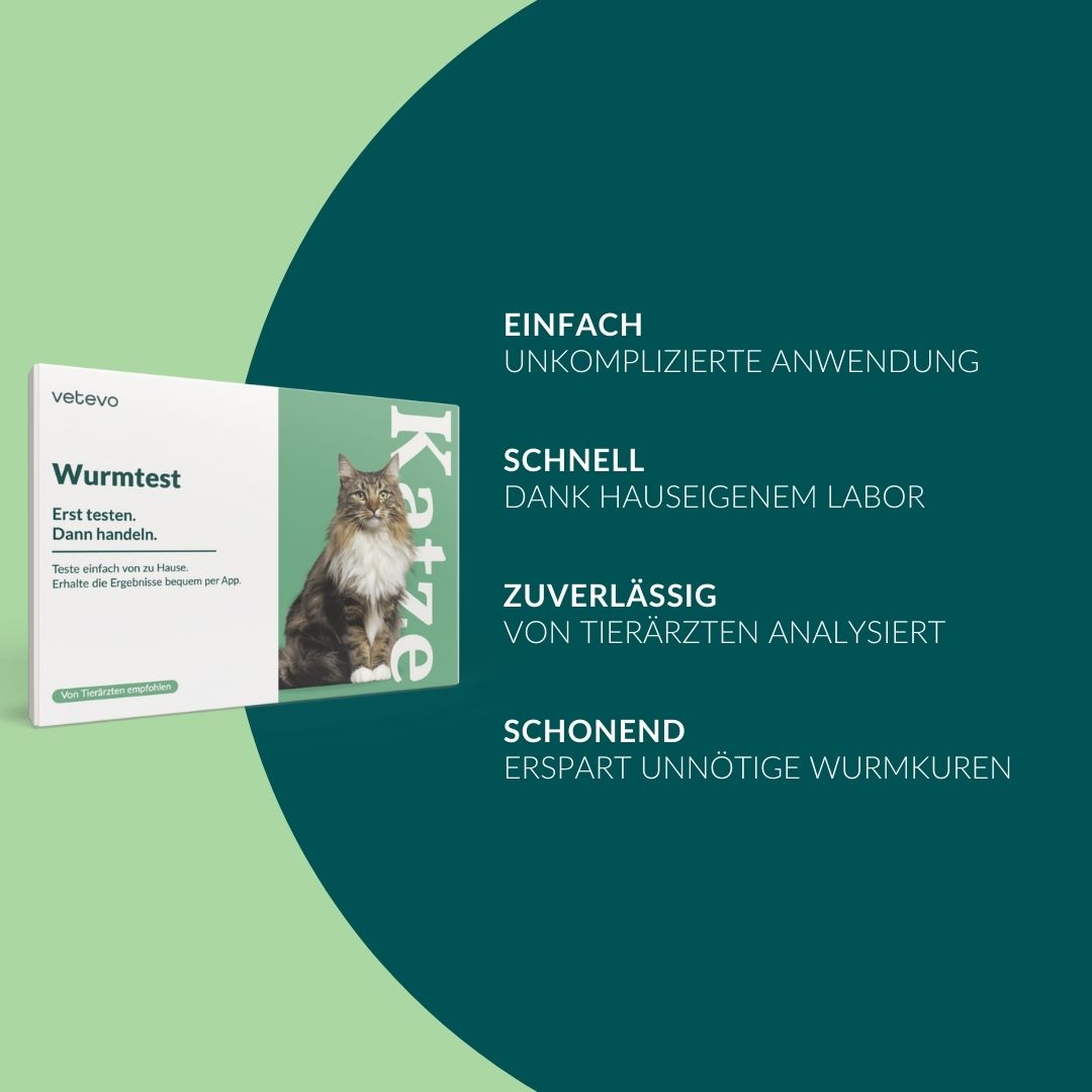 Verpackung des Wurmtest für Katzen mit Vorteilen: einfach, schnell, zuverlässig, schonend.