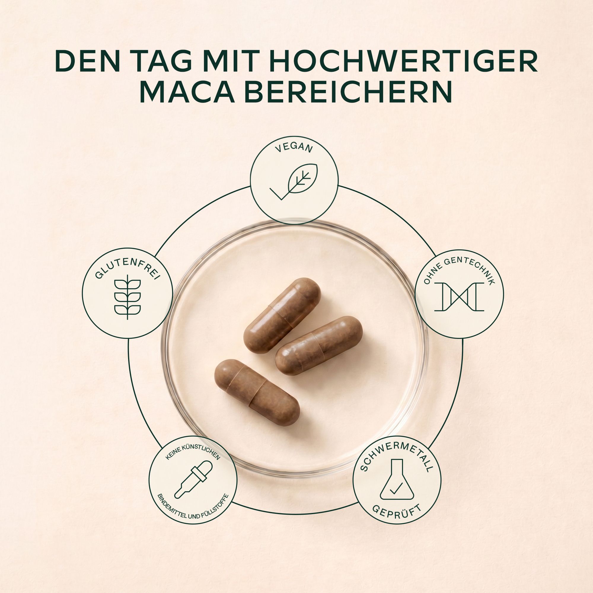 Drei Aavalabs Maca Kapseln auf einer Petrischale, umgeben von Zertifizierungssymbolen.