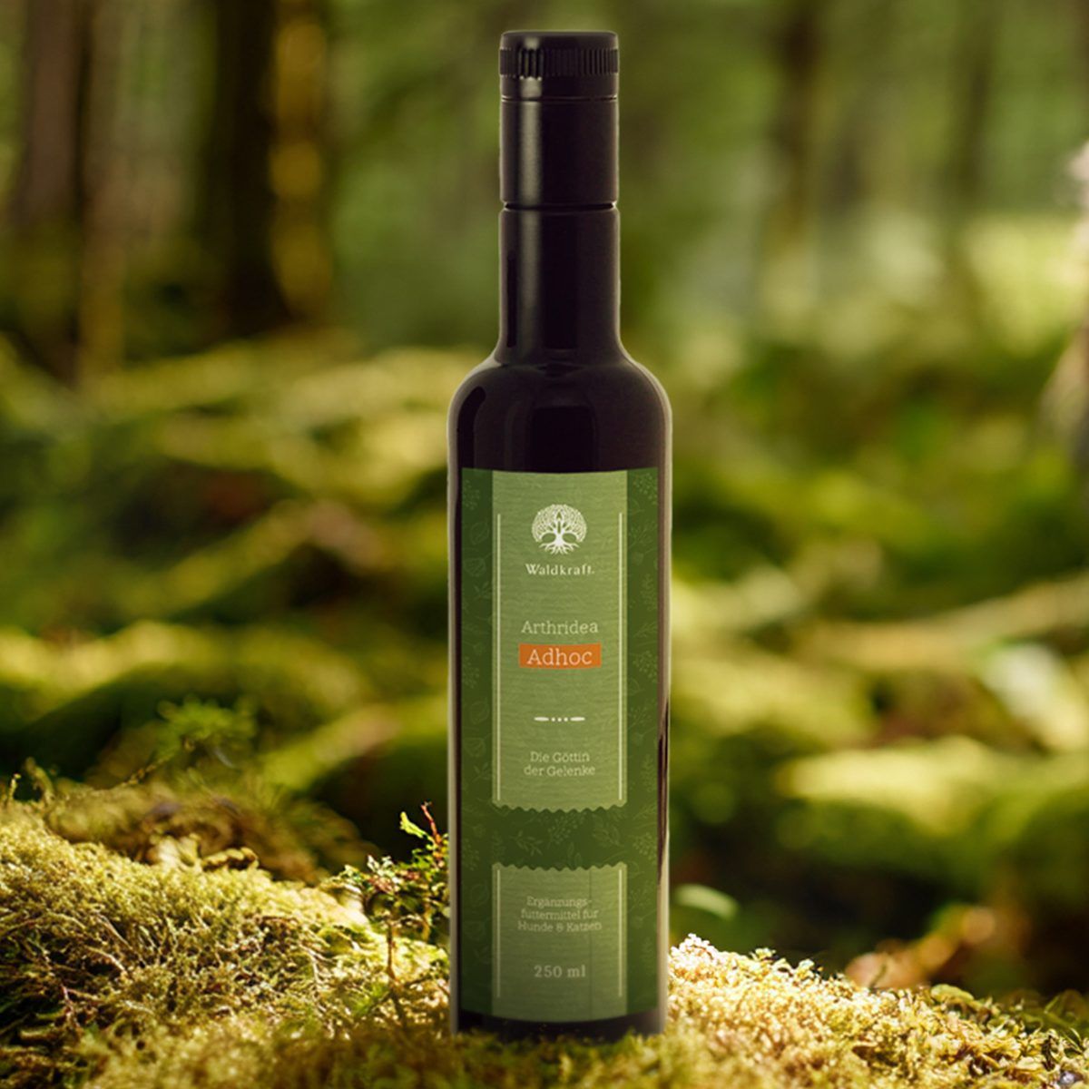 Dunkle Glasflasche mit grünem Etikett, platziert in einer Waldumgebung. Enthält 250 ml.