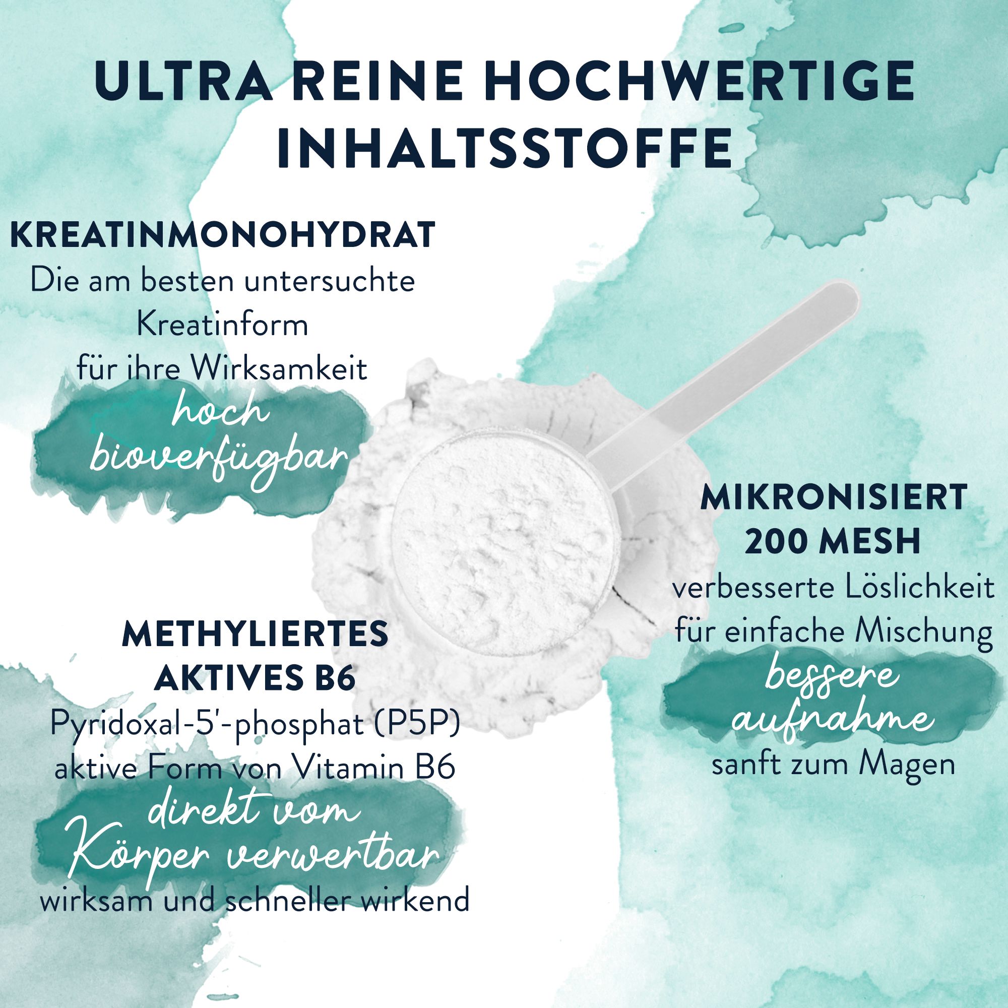 Zutaten und Vorteile. Text: Kreatin Monohydrat, mikronisiert, P5P, vegan, verbesserte Löslichkeit.