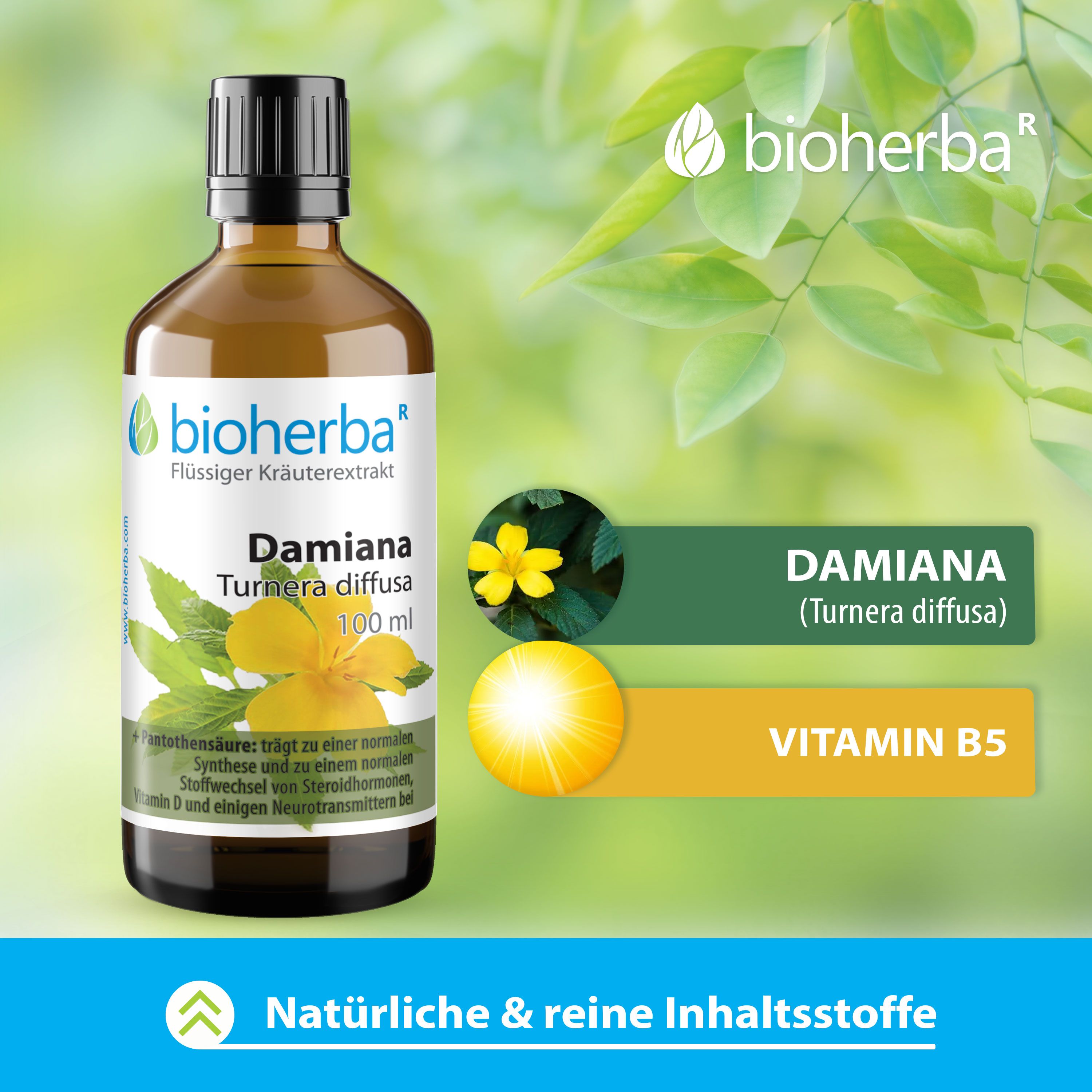 Bioherba Damiana Flasche, 100 ml. Braune Glasflasche mit schwarzem Deckel. Text: Damiana, Turnera diffusa. Gelbe Blume und Vitamin B5.