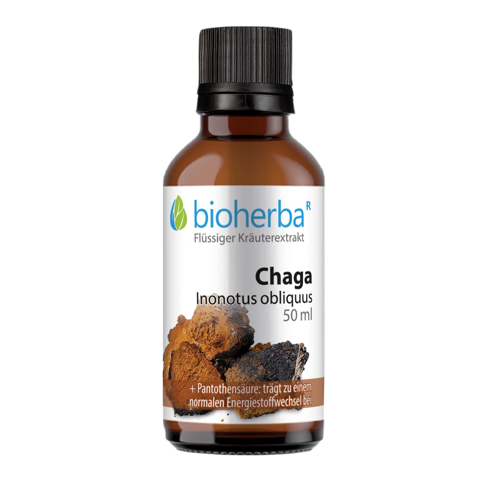 Bioherba Chaga  Inonotus obliquus  Tropfen  Tinktur Extrakt