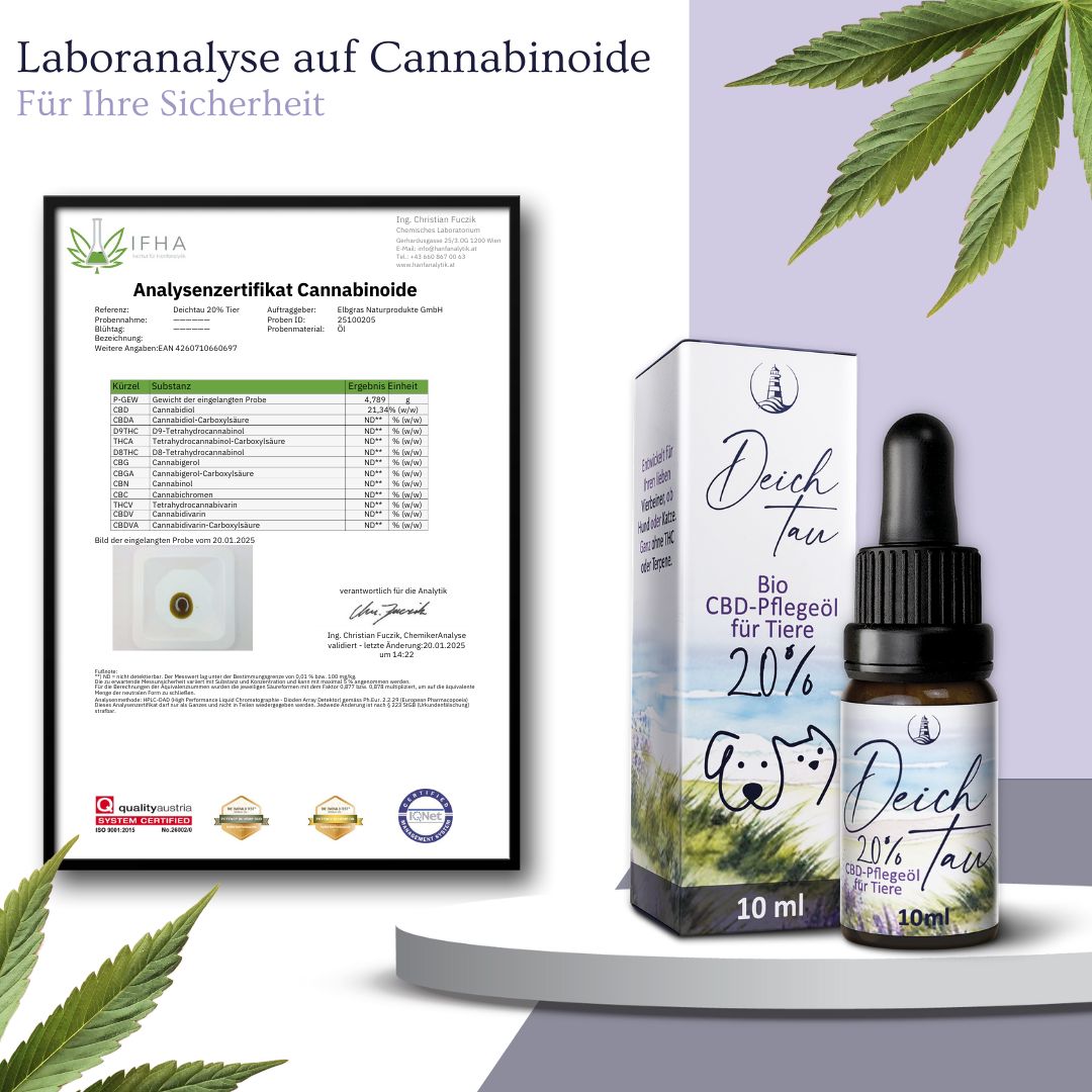 Analyse-Zertifikat Cannabinoide für Deichtau CBD Öl, Laboranalyse für Sicherheit.